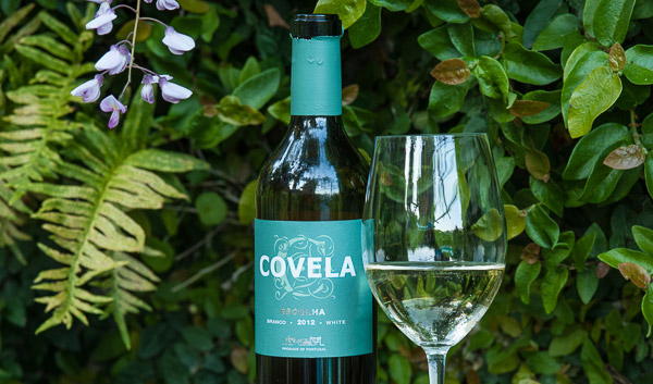Quinta de Covela