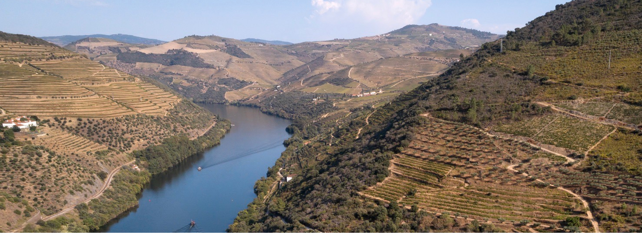 Quinta das Tecedeiras